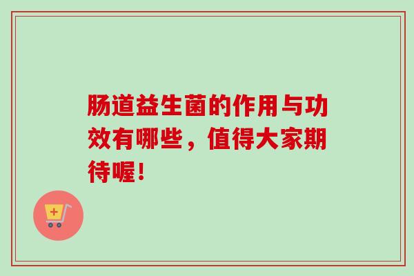 肠道益生菌的作用与功效有哪些，值得大家期待喔！