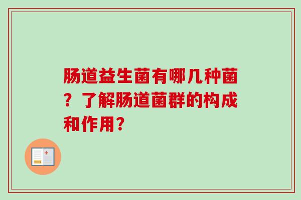 肠道益生菌有哪几种菌?了解肠道菌群的构成和作用? 肠道益生菌有哪几种菌?了解肠道菌群的构成和作用?