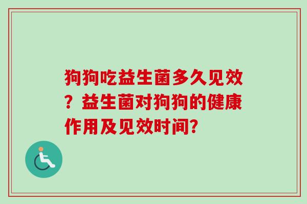 狗狗吃益生菌多久见效？益生菌对狗狗的健康作用及见效时间？