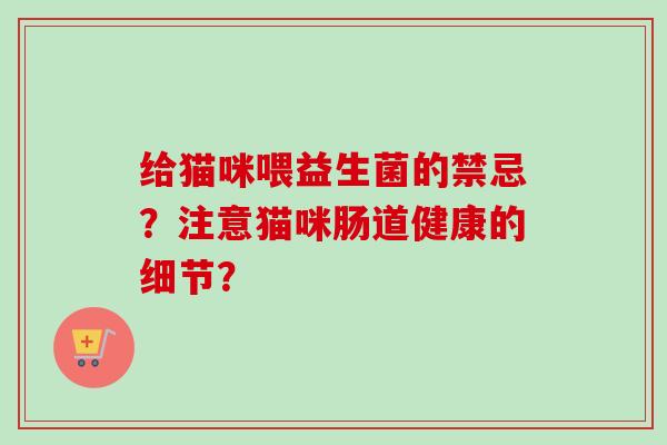 给猫咪喂益生菌的禁忌?注意猫咪肠道健康的细节? 给猫咪喂益生菌的禁忌?注意猫咪肠道健康的细节?