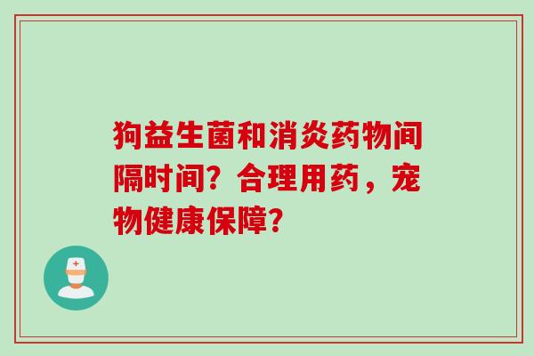 狗益生菌和消炎药物间隔时间？合理用药，宠物健康保障？