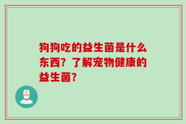狗狗吃的益生菌是什么东西?了解宠物健康的益生菌? 狗狗吃的益生菌是什么东西?了解宠物健康的益生菌?