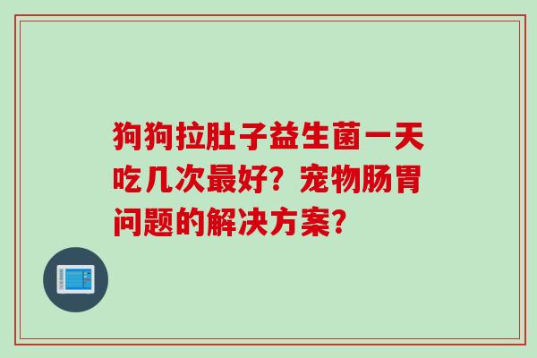 狗狗拉肚子益生菌一天吃几次好?宠物肠胃问题的解决方案? 狗狗拉肚子益生菌一天吃几次好?宠物肠胃问题的解决方案?