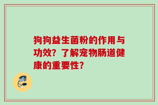狗狗益生菌粉的作用与功效？了解宠物肠道健康的重要性？