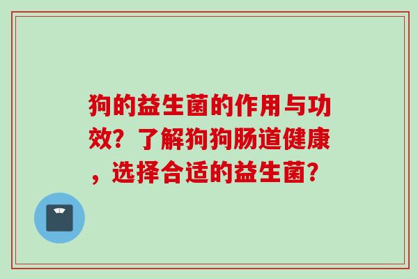 狗的益生菌的作用与功效?了解狗狗肠道健康,选择合适的益生菌? 狗的益生菌的作用与功效?了解狗狗肠道健康,选择合适的益生菌?