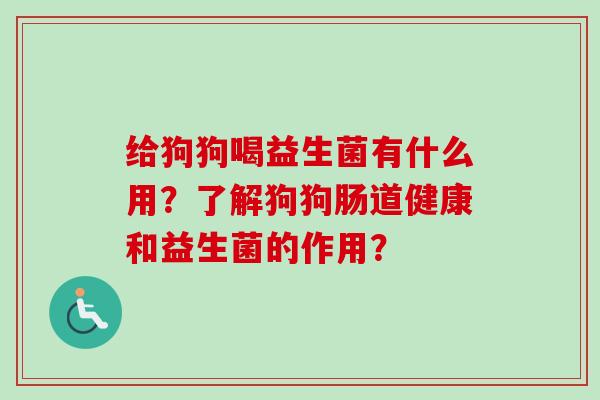 给狗狗喝益生菌有什么用？了解狗狗肠道健康和益生菌的作用？