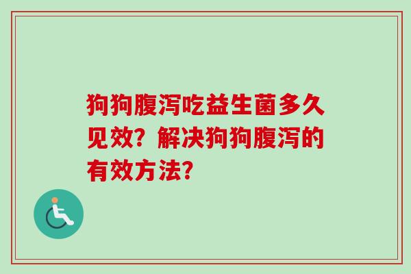 狗狗吃益生菌多久见效？解决狗狗的有效方法？