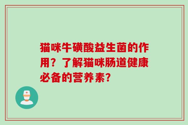 猫咪牛磺酸益生菌的作用？了解猫咪肠道健康必备的营养素？