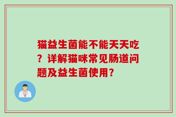 猫益生菌能不能天天吃？详解猫咪常见肠道问题及益生菌使用？