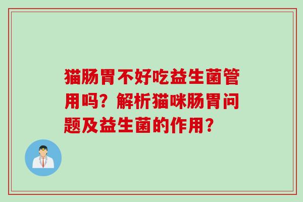 猫肠胃不好吃益生菌管用吗？解析猫咪肠胃问题及益生菌的作用？