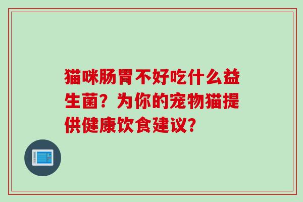 猫咪肠胃不好吃什么益生菌？为你的宠物猫提供健康饮食建议？