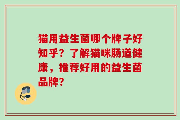 猫用益生菌哪个牌子好知乎？了解猫咪肠道健康，推荐好用的益生菌品牌？