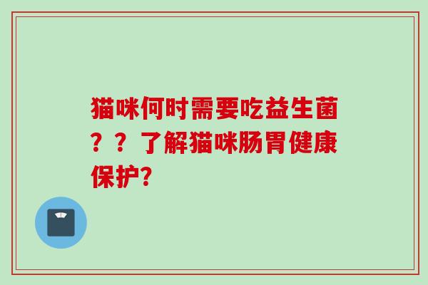 猫咪何时需要吃益生菌？？了解猫咪肠胃健康保护？