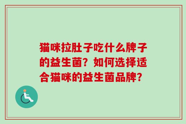 猫咪拉肚子吃什么牌子的益生菌？如何选择适合猫咪的益生菌品牌？