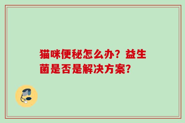 猫咪怎么办？益生菌是否是解决方案？