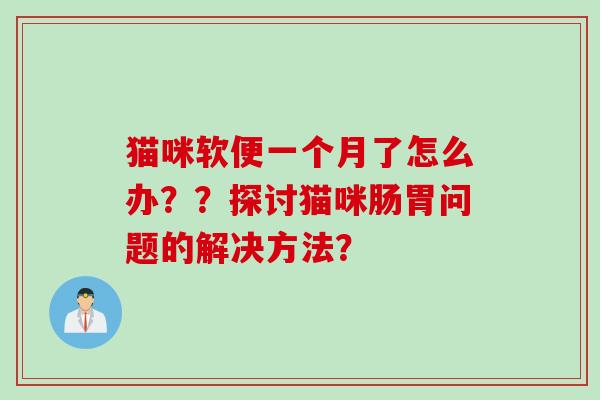 猫咪软便一个月了怎么办？？探讨猫咪肠胃问题的解决方法？