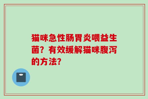 猫咪急性肠喂益生菌？有效缓解猫咪的方法？