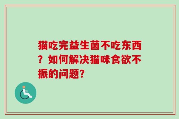 猫吃完益生菌不吃东西？如何解决猫咪不振的问题？