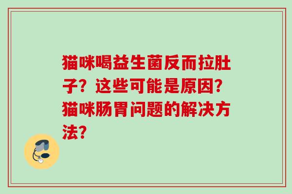 猫咪喝益生菌反而拉肚子？这些可能是原因？猫咪肠胃问题的解决方法？