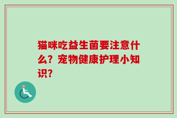 猫咪吃益生菌要注意什么？宠物健康护理小知识？