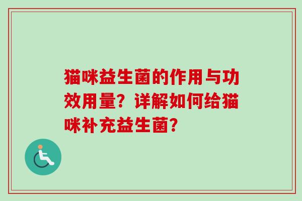 猫咪益生菌的作用与功效用量？详解如何给猫咪补充益生菌？