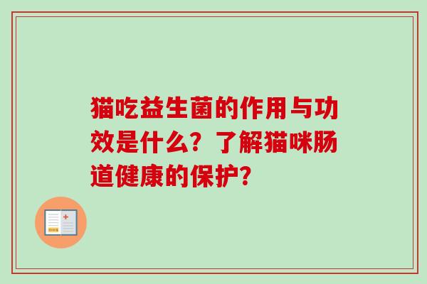 猫吃益生菌的作用与功效是什么?了解猫咪肠道健康的保护? 猫吃益生菌的作用与功效是什么?了解猫咪肠道健康的保护?