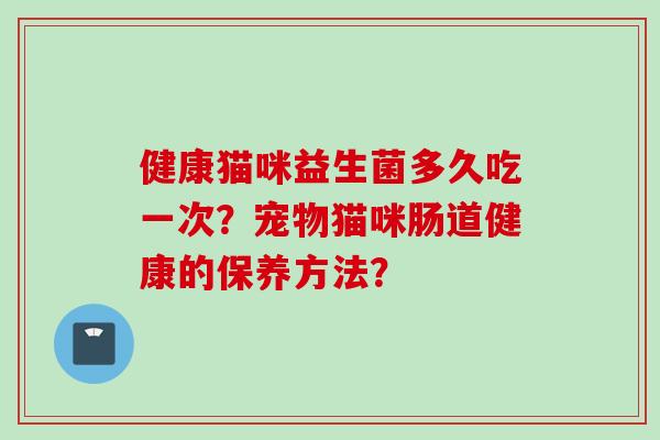 健康猫咪益生菌多久吃一次？宠物猫咪肠道健康的保养方法？