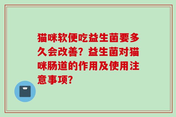 猫咪软便吃益生菌要多久会改善？益生菌对猫咪肠道的作用及使用注意事项？