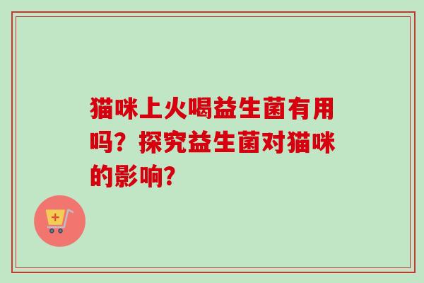 猫咪上火喝益生菌有用吗？探究益生菌对猫咪的影响？