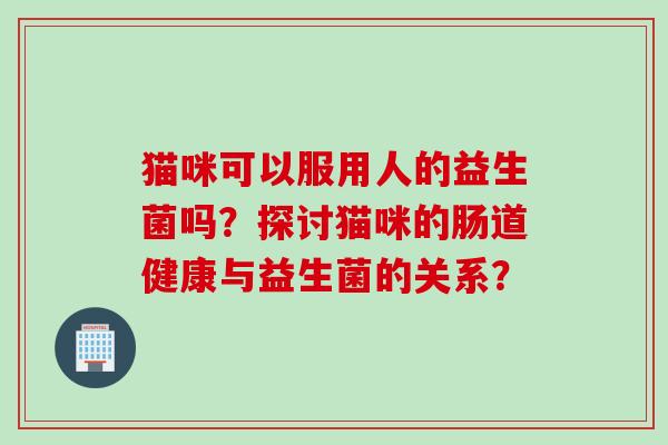猫咪可以服用人的益生菌吗？探讨猫咪的肠道健康与益生菌的关系？