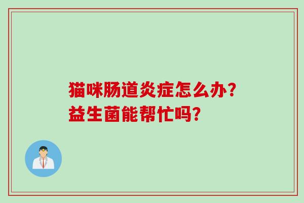 猫咪肠道怎么办?益生菌能帮忙吗? 猫咪肠道怎么办?益生菌能帮忙吗?