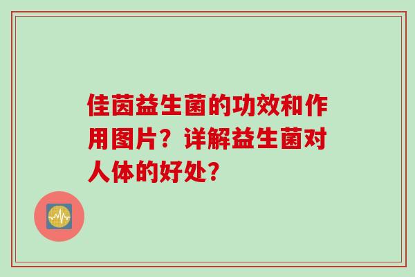 佳茵益生菌的功效和作用图片?详解益生菌对人体的好处? 佳茵益生菌的功效和作用图片?详解益生菌对人体的好处?