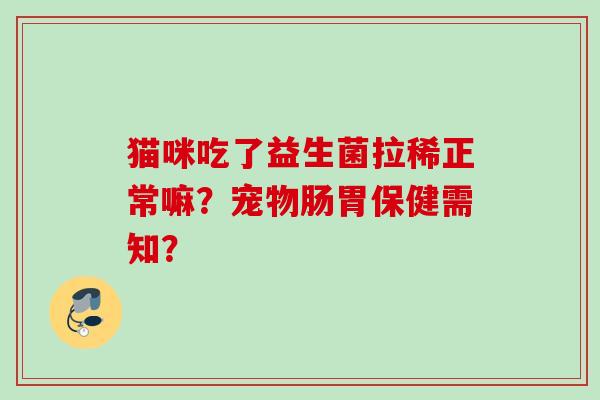 猫咪吃了益生菌拉稀正常嘛？宠物肠胃保健需知？