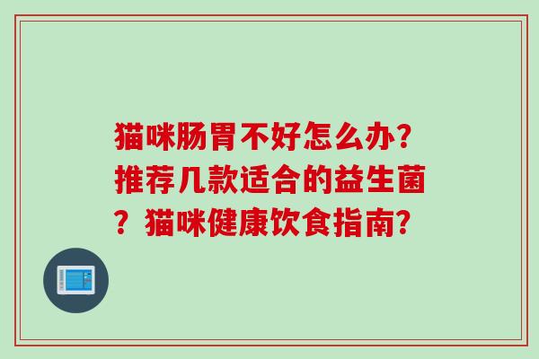 猫咪肠胃不好怎么办?推荐几款适合的益生菌?猫咪健康饮食指南? 猫咪肠胃不好怎么办?推荐几款适合的益生菌?猫咪健康饮食指南?