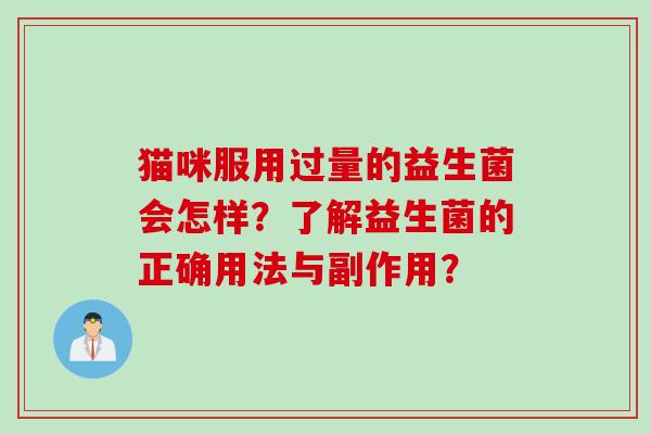 猫咪服用过量的益生菌会怎样？了解益生菌的正确用法与副作用？