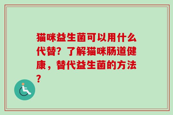 猫咪益生菌可以用什么代替？了解猫咪肠道健康，替代益生菌的方法？