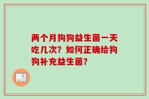 两个月狗狗益生菌一天吃几次？如何正确给狗狗补充益生菌？