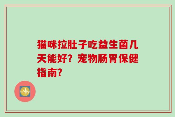 猫咪拉肚子吃益生菌几天能好？宠物肠胃保健指南？