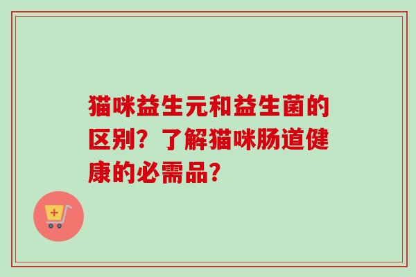 猫咪益生元和益生菌的区别？了解猫咪肠道健康的必需品？