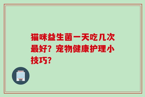 猫咪益生菌一天吃几次好？宠物健康护理小技巧？