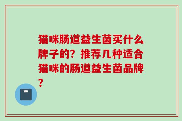 猫咪肠道益生菌买什么牌子的？推荐几种适合猫咪的肠道益生菌品牌？