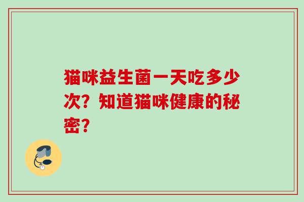猫咪益生菌一天吃多少次？知道猫咪健康的秘密？