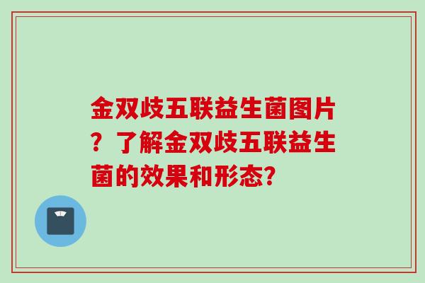 金双歧五联益生菌图片？了解金双歧五联益生菌的效果和形态？