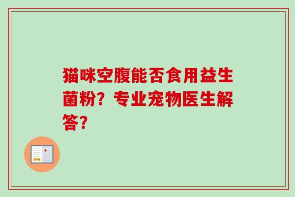 猫咪空腹能否食用益生菌粉？专业宠物医生解答？