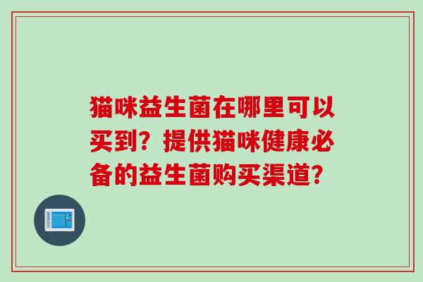 猫咪益生菌在哪里可以买到？提供猫咪健康必备的益生菌购买渠道？