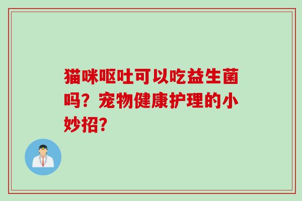 猫咪可以吃益生菌吗？宠物健康护理的小妙招？