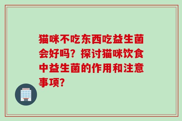 猫咪不吃东西吃益生菌会好吗？探讨猫咪饮食中益生菌的作用和注意事项？