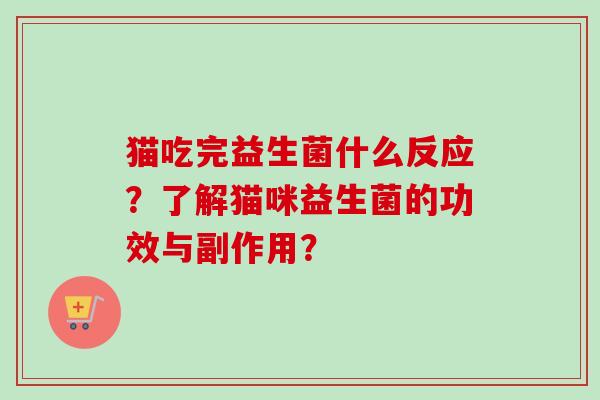 猫吃完益生菌什么反应?了解猫咪益生菌的功效与副作用? 猫吃完益生菌什么反应?了解猫咪益生菌的功效与副作用?