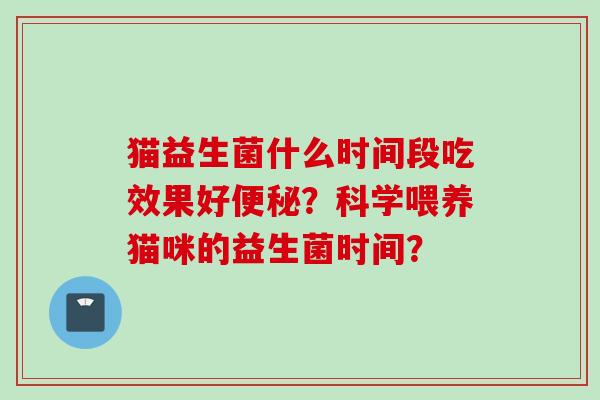 猫益生菌什么时间段吃效果好？科学喂养猫咪的益生菌时间？