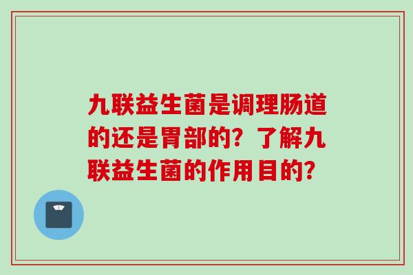 九联益生菌是调理肠道的还是胃部的？了解九联益生菌的作用目的？